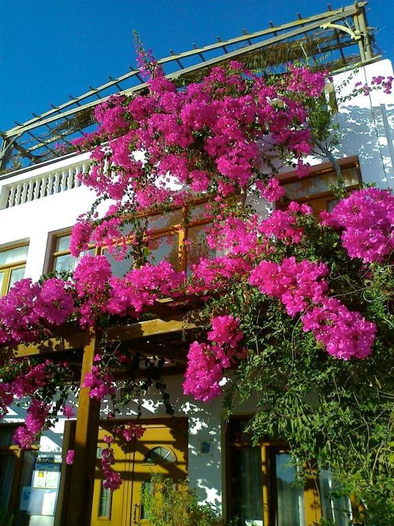 Sunset Hotel Lefkos  Buitenkant foto